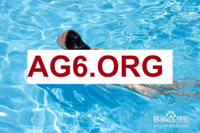 水晶宫 vs 狼队 赛事直播入口